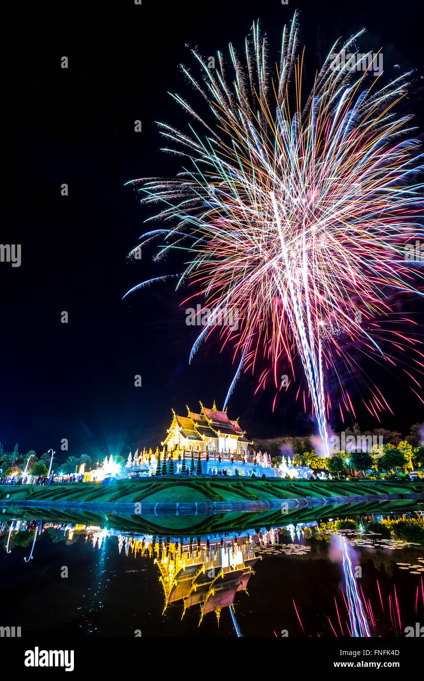 Firework in a night sky on Daddy Day (Father's day) at Royal Park Rajapruek, Chiangmai,Thailand Stock Photo