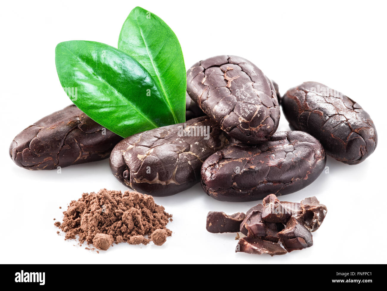 Cocoa beans isolated on a white background. Stock Photo