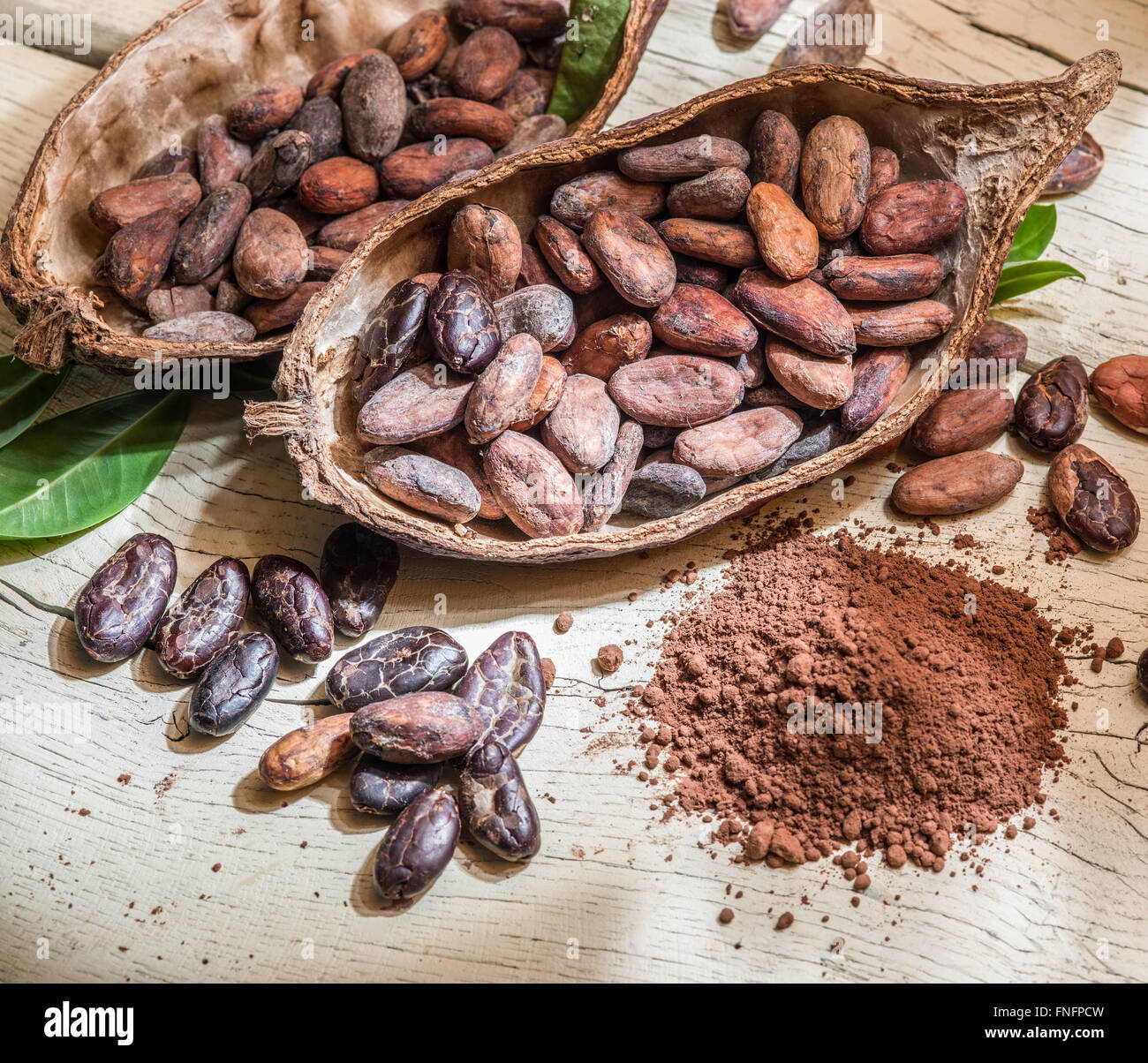 Cocoa powder and cocoa beans on the wooden table. Stock Photo