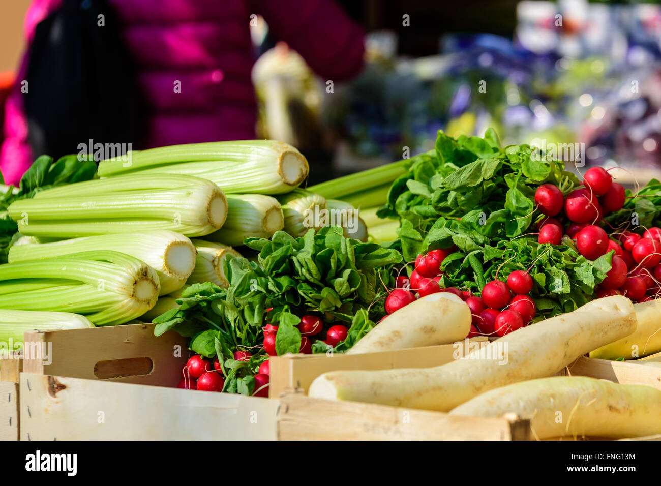 Celery, radish and daikon on sale at market. Focus on the red radishes. Stock Photo