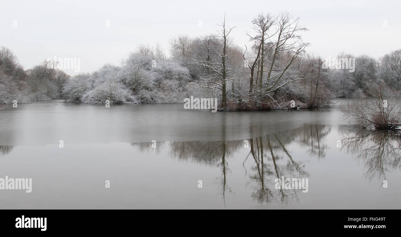small island in a reclaimed gravel pit after an overnight snowfall, Attenborough Nature Reserve, Notts., UK Stock Photo