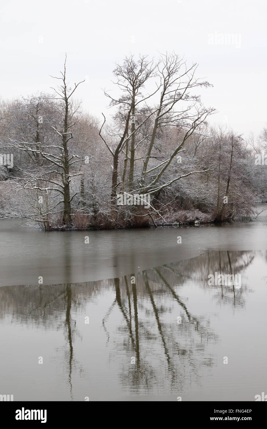 small island in a reclaimed gravel pit after an overnight snowfall, Attenborough Nature Reserve, Notts., UK Stock Photo