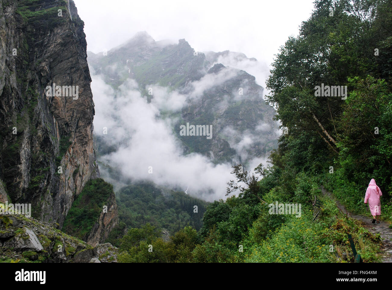 Valley of Flowers National Park is an Indian national park, located in West Himalaya, in the state of Uttarakhand Stock Photo