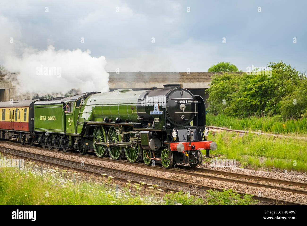 Tornado 60163 Steam train Stock Photo