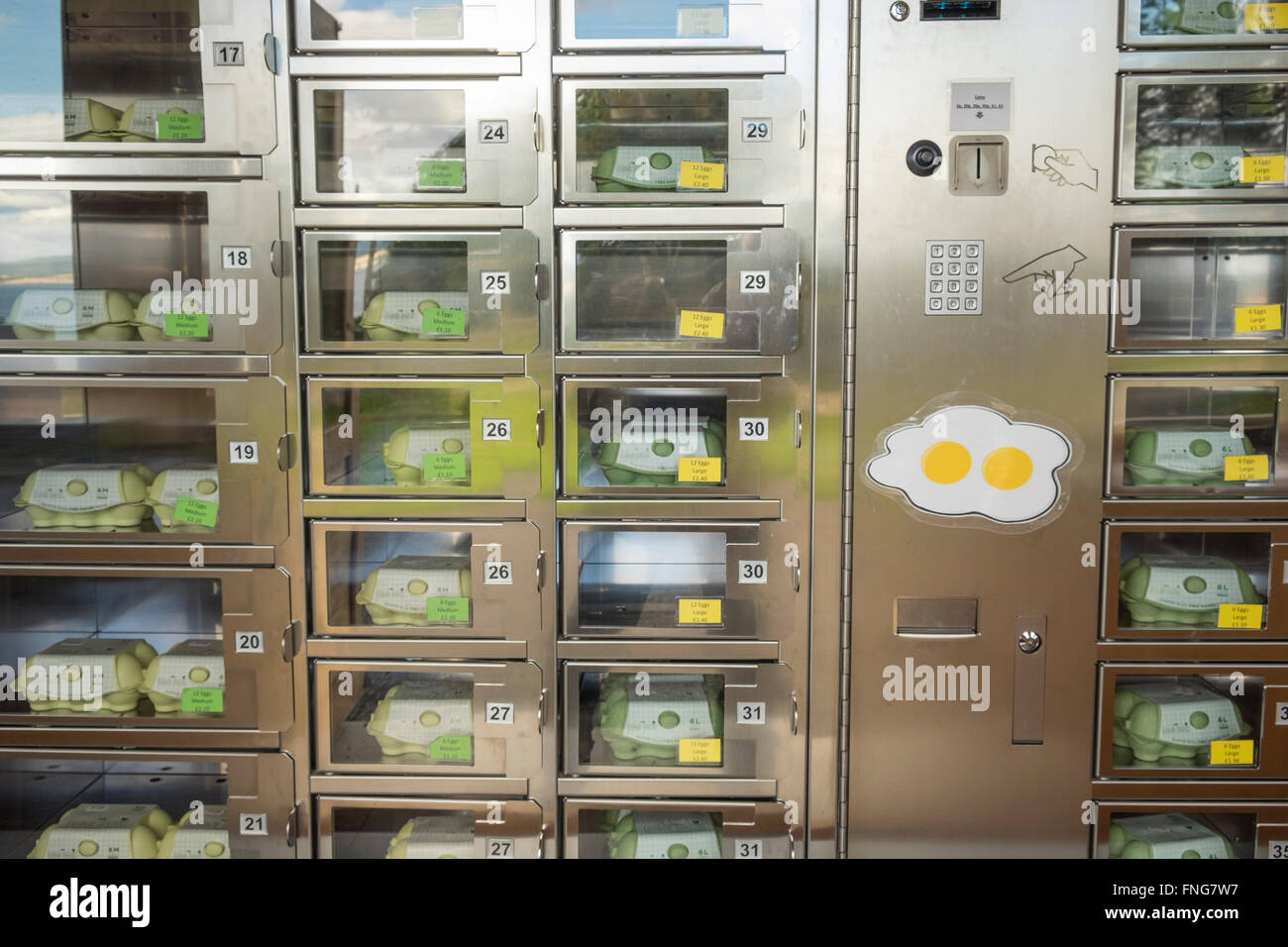 Egg vending shop hires stock photography and images Alamy