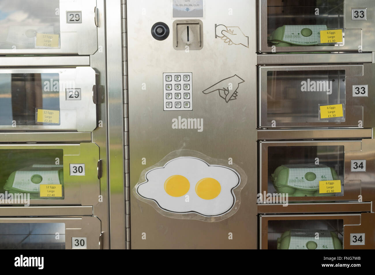 Egg Box Shop, egg vending machine Stock Photo