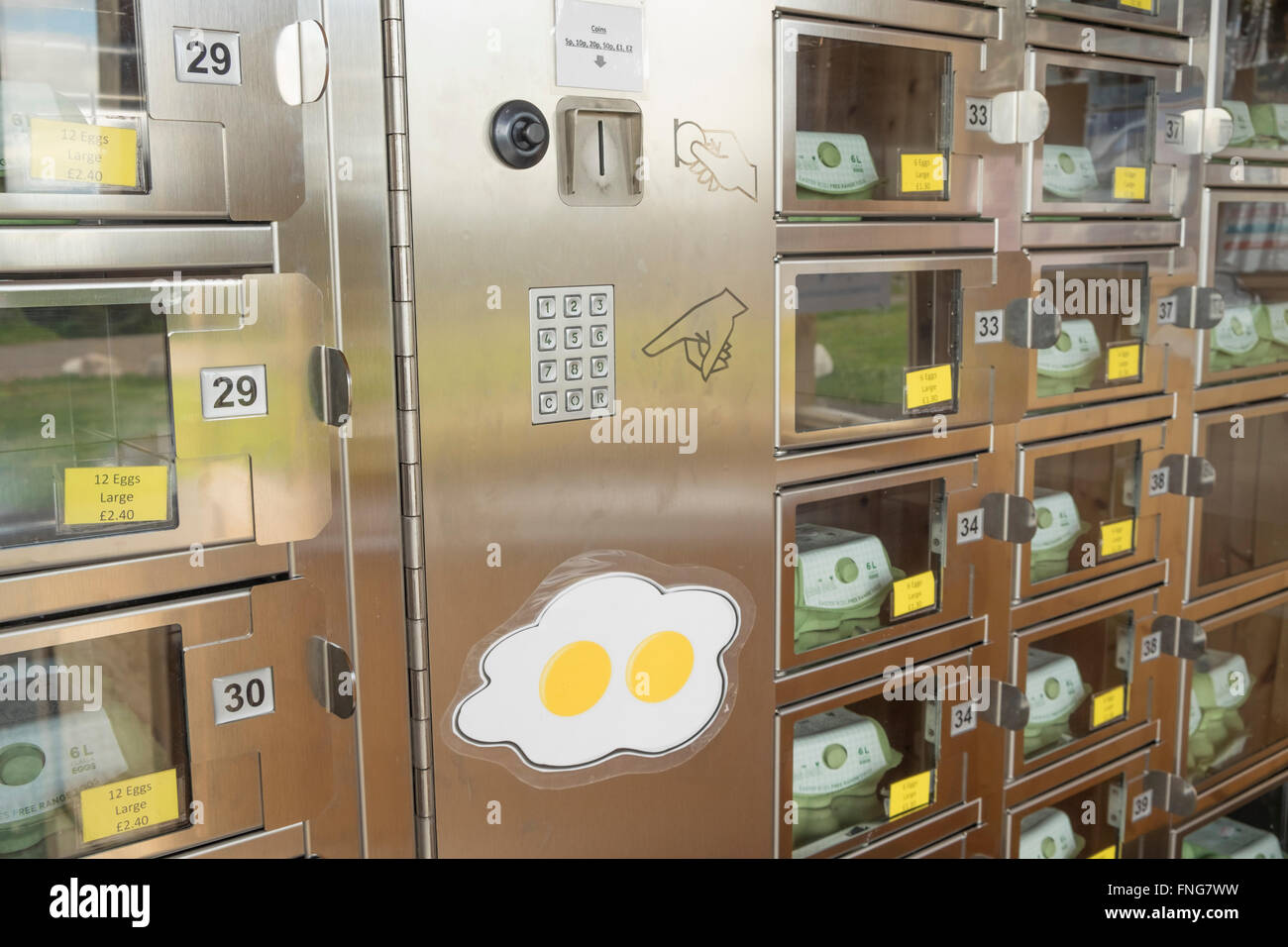 Egg Box Shop, egg vending machine Stock Photo