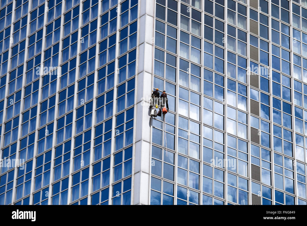 Window cleaner cleaning windows of glass skyscraper Stock Photo Alamy