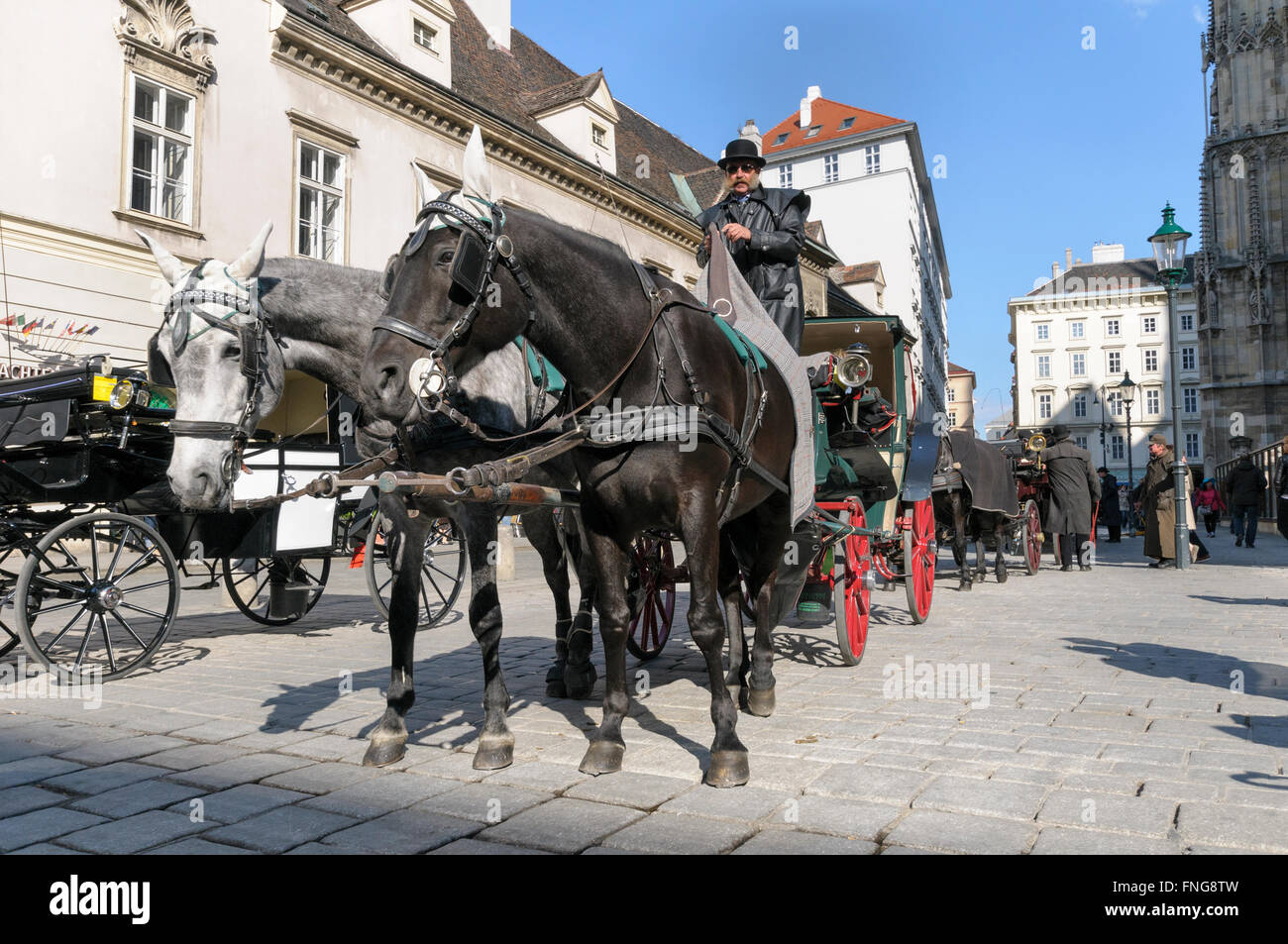 A horse drawn carriage (fiaker) at the Stephensplatz, Vienna, Austria Stock Photo