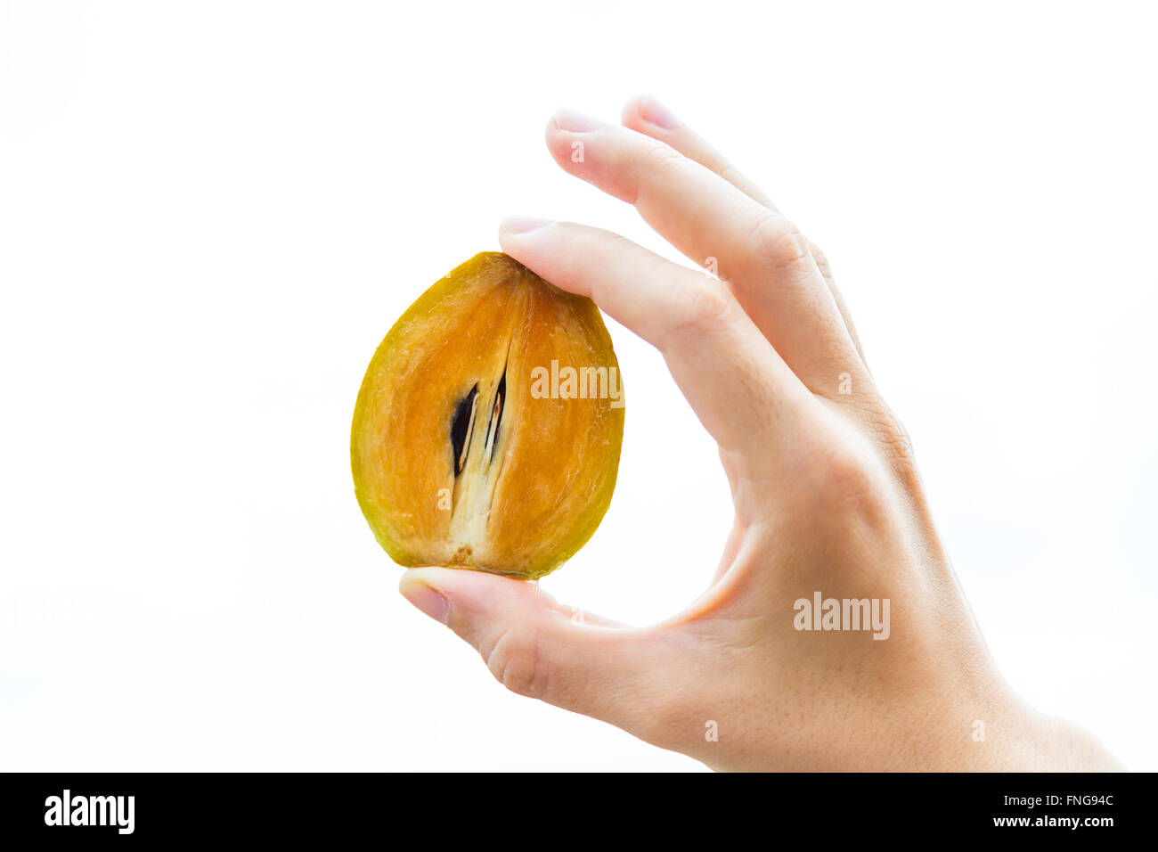 Half of sapodilla fruit held in the hand of a young woman, isolated on white. Stock Photo