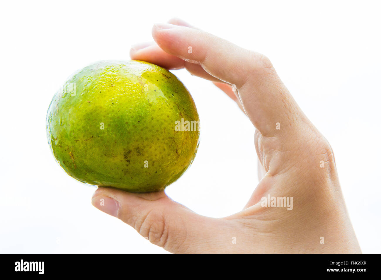 A whole Thai tangerine held in the hand of a young woman, isolated on