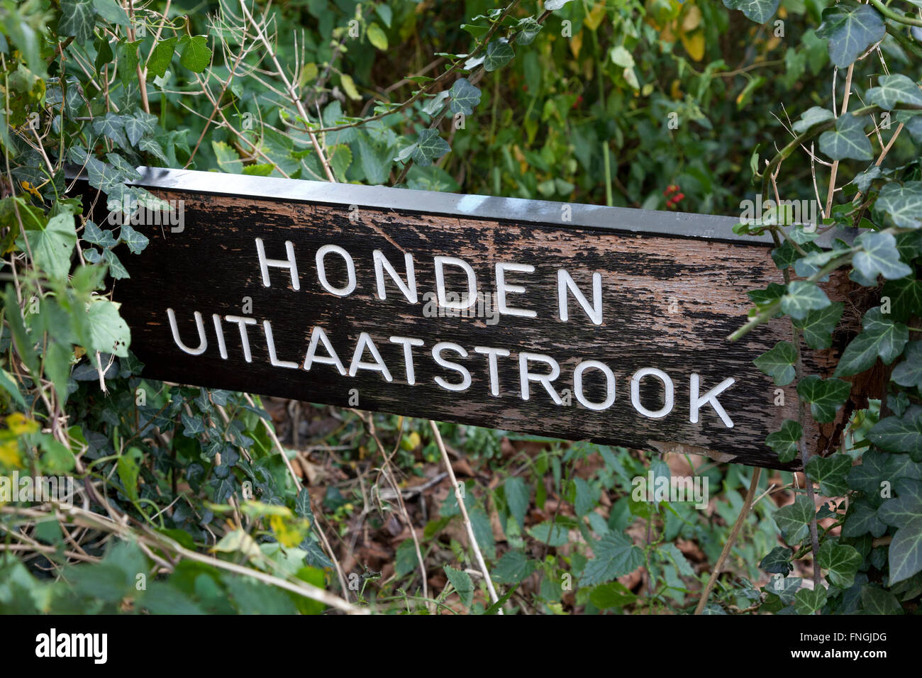 Dog toilet area in the park Stock Photo Alamy