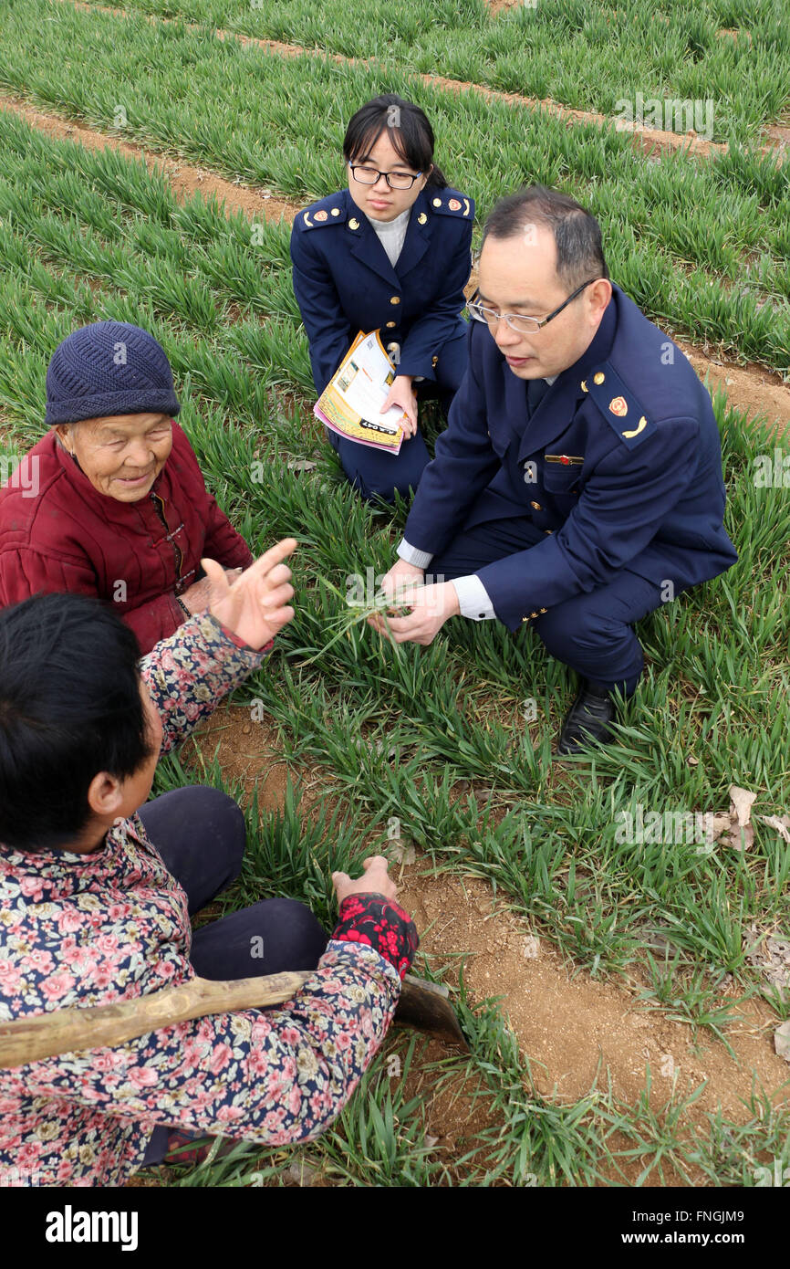 Jining, China's Shandong Province. 15th Mar, 2016. Industrial and commercial officers tell local farmers how the genuine and fake fertilizers would effect the growth of wheat in Zoucheng of Jining City, east China's Shandong Province, March 15, 2016. A variety of activities were held across China to raise consumers' awareness to protect their rights as the International Consumer Rights Day fell on March 15. © Wang Qisheng/Xinhua/Alamy Live News Stock Photo