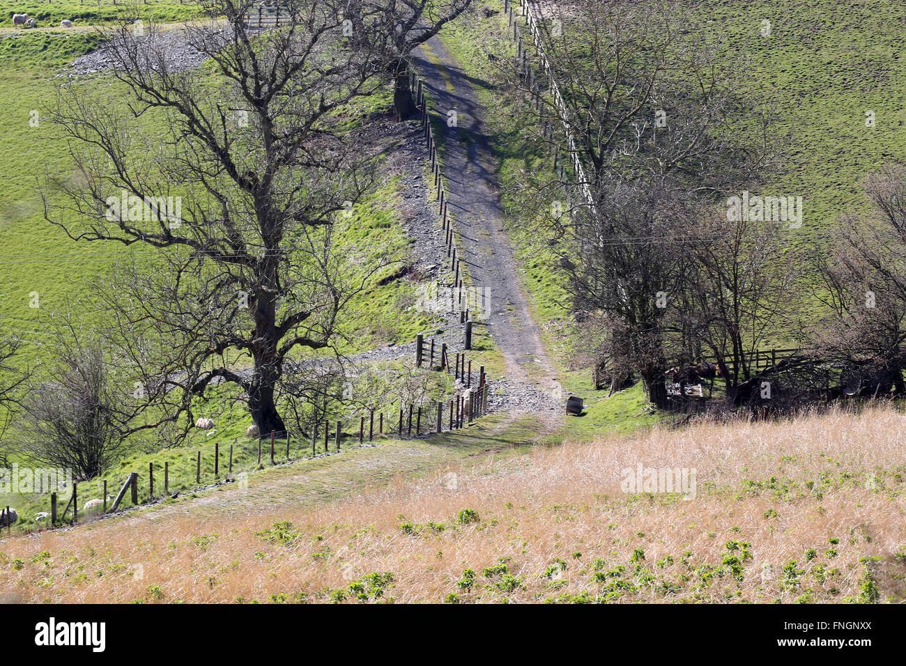 Path below a meadow Llangollen Stock Photo