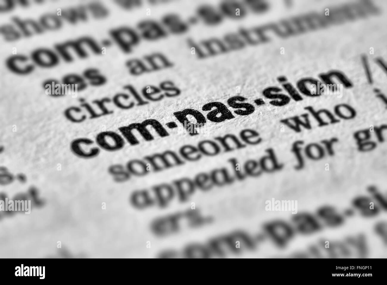 Compassion Word Definition Text in Dictionary Page Stock Photo Alamy