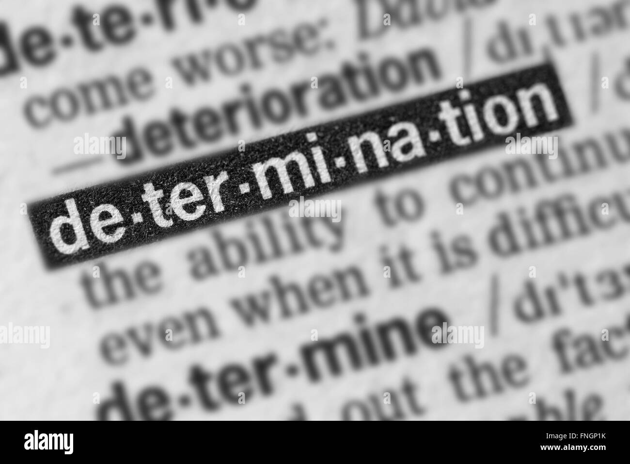 Determination Word Text in Dictionary Page Stock Photo