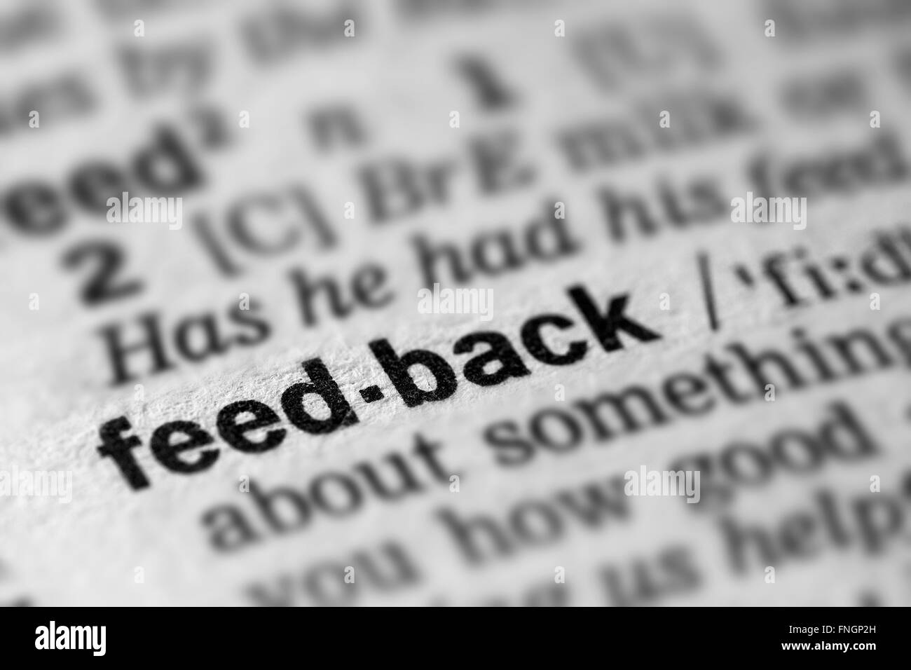 Feedback Definition Word Text in Dictionary Page Stock Photo Alamy