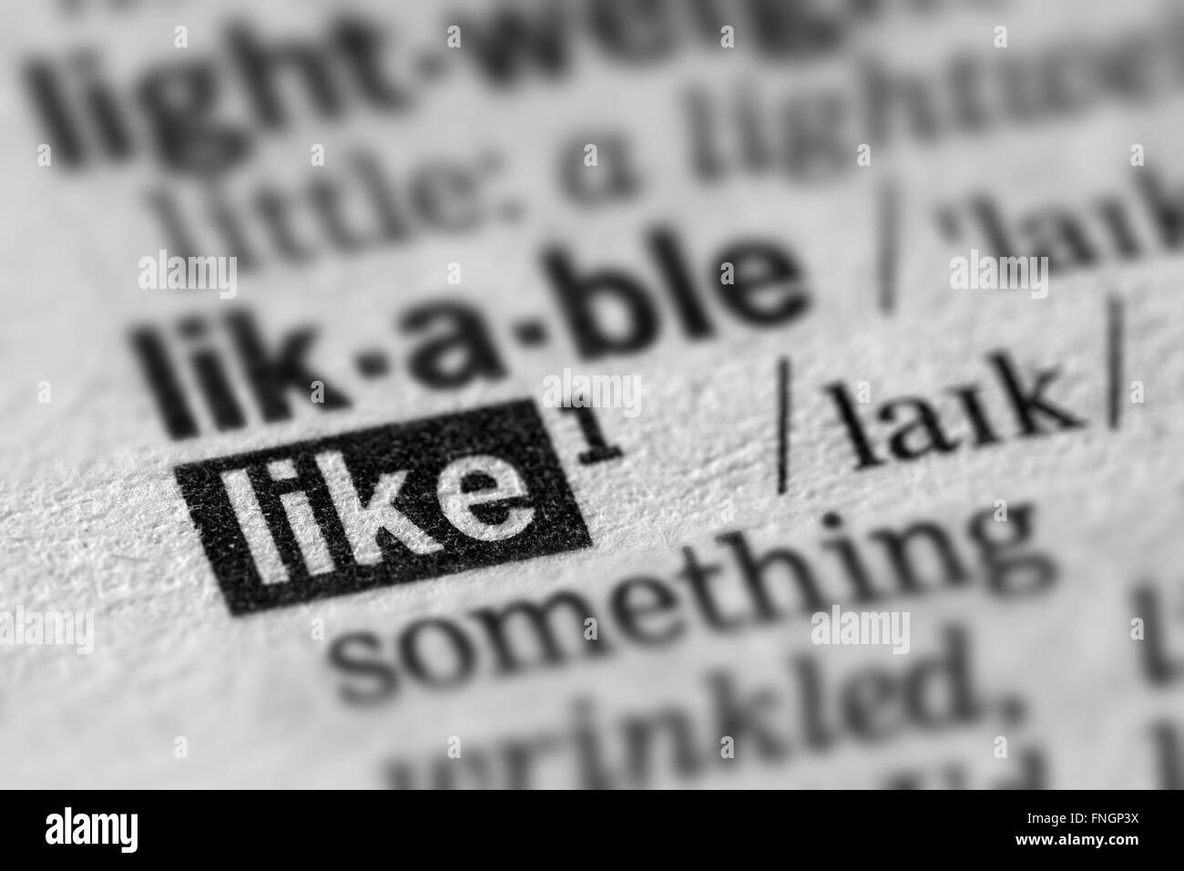 Like Definition Word Text in Dictionary Page Stock Photo Alamy