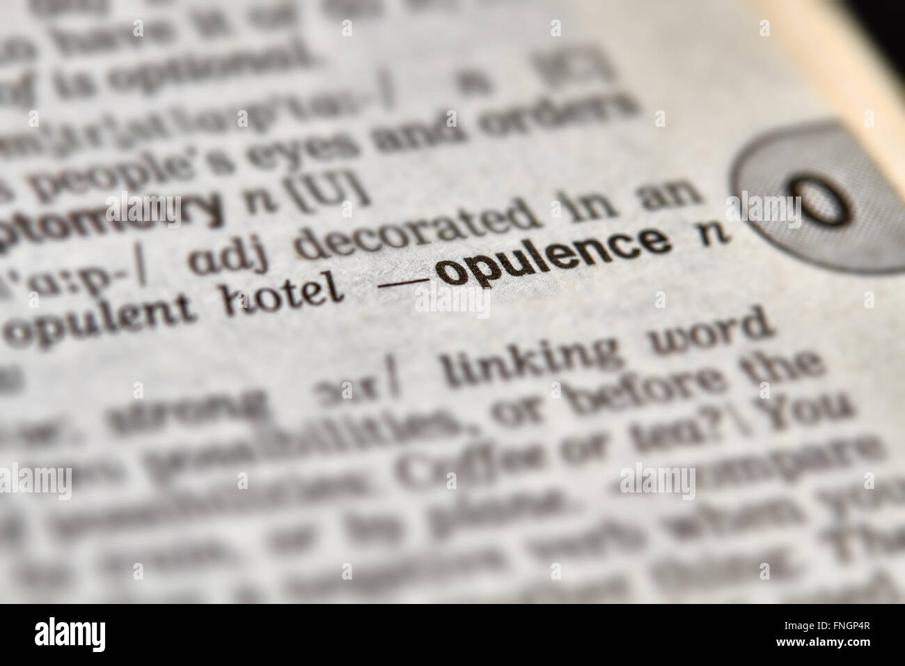 Opulence Word Definition Text in Dictionary Page Stock Photo