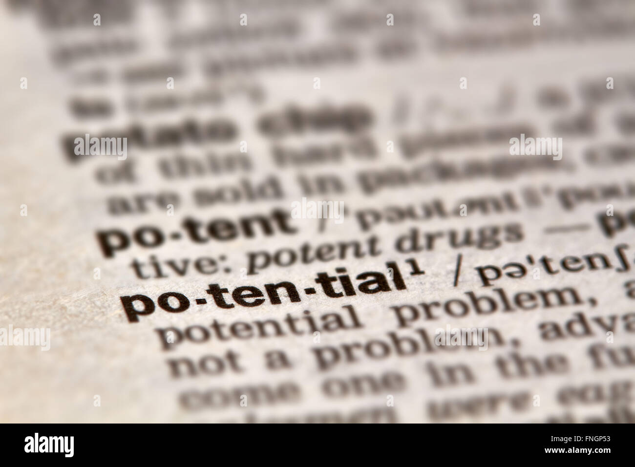 Potential Word Definition Text in Dictionary Page Stock Photo