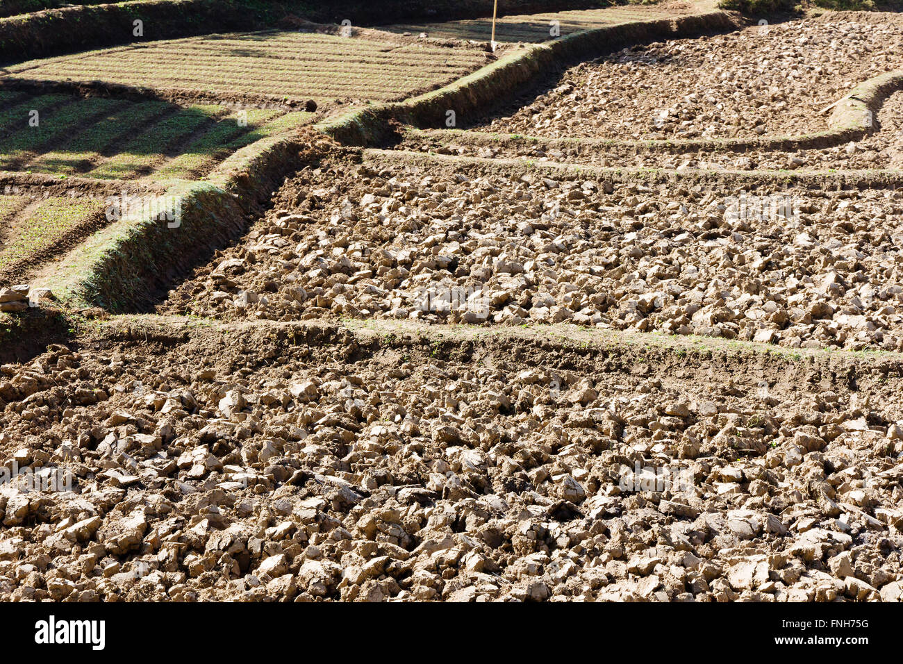 Cultivated farm land hi-res stock photography and images - Alamy
