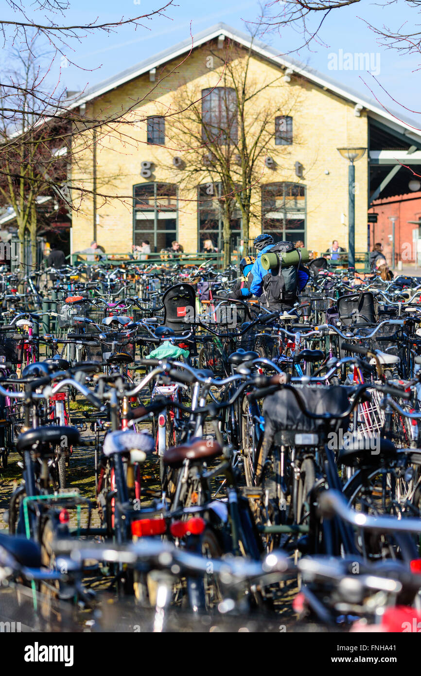 Lund, Sweden - March 12, 2016: Person with backpack standing among lots of bicycles at the bike parking lot outside the train st Stock Photo
