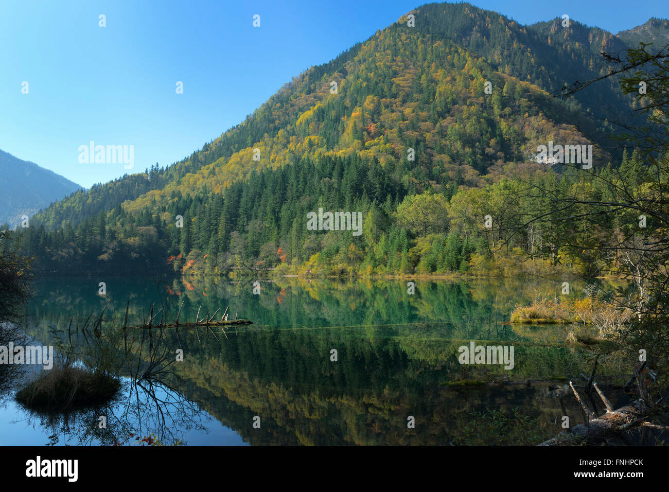 Arrow Bamboo Lake, Reflections in the water, Jiuzhaigou National Park, Sichuan Province, China, Unesco World Heritage Site Stock Photo