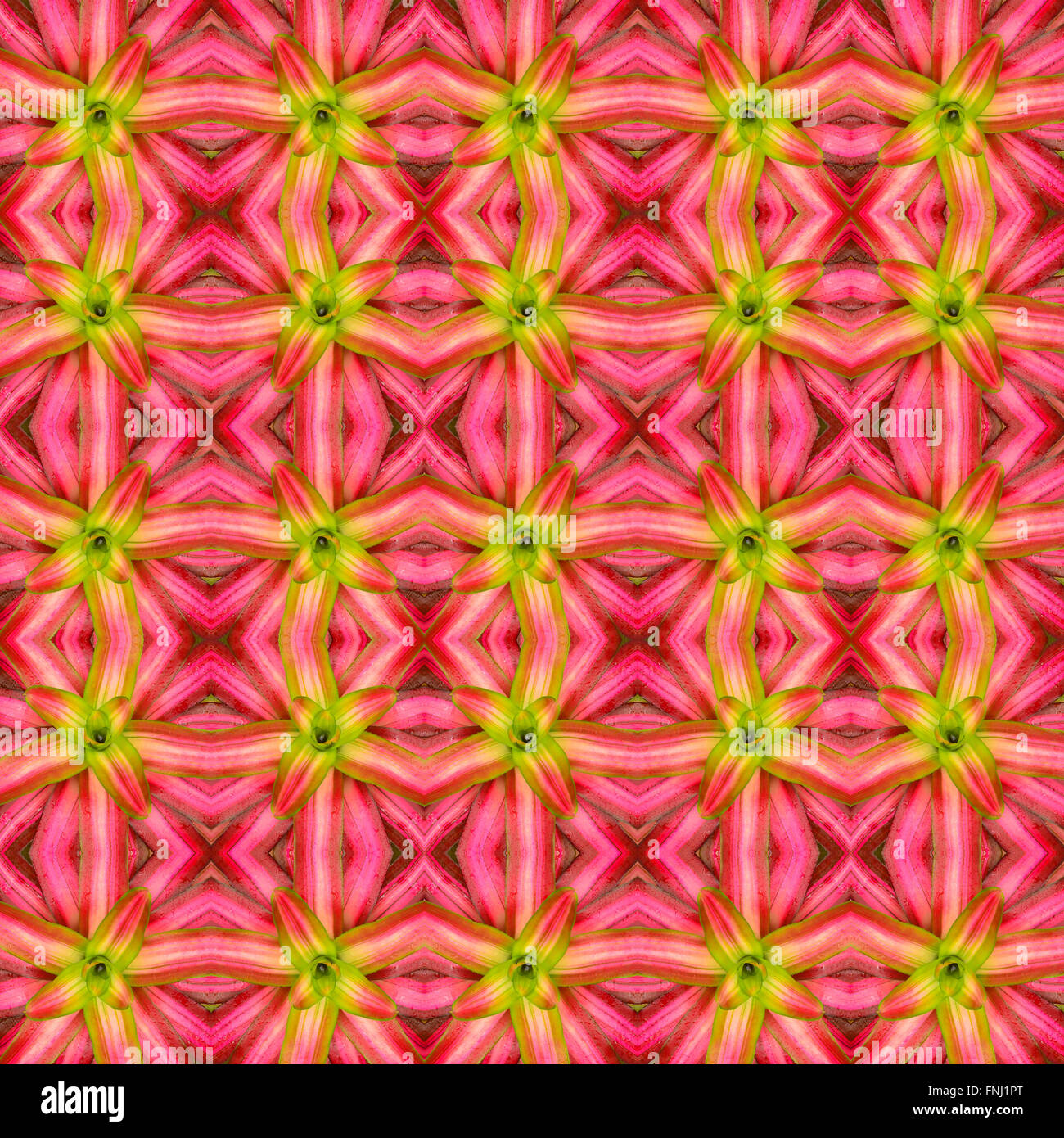 bromeliad seamless pattern background Stock Photo