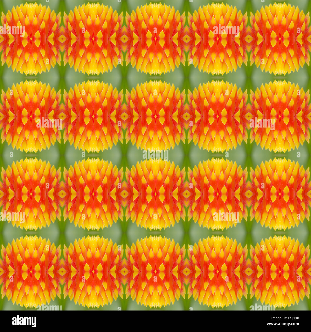 Bromeliad flower seamless pattern background Stock Photo