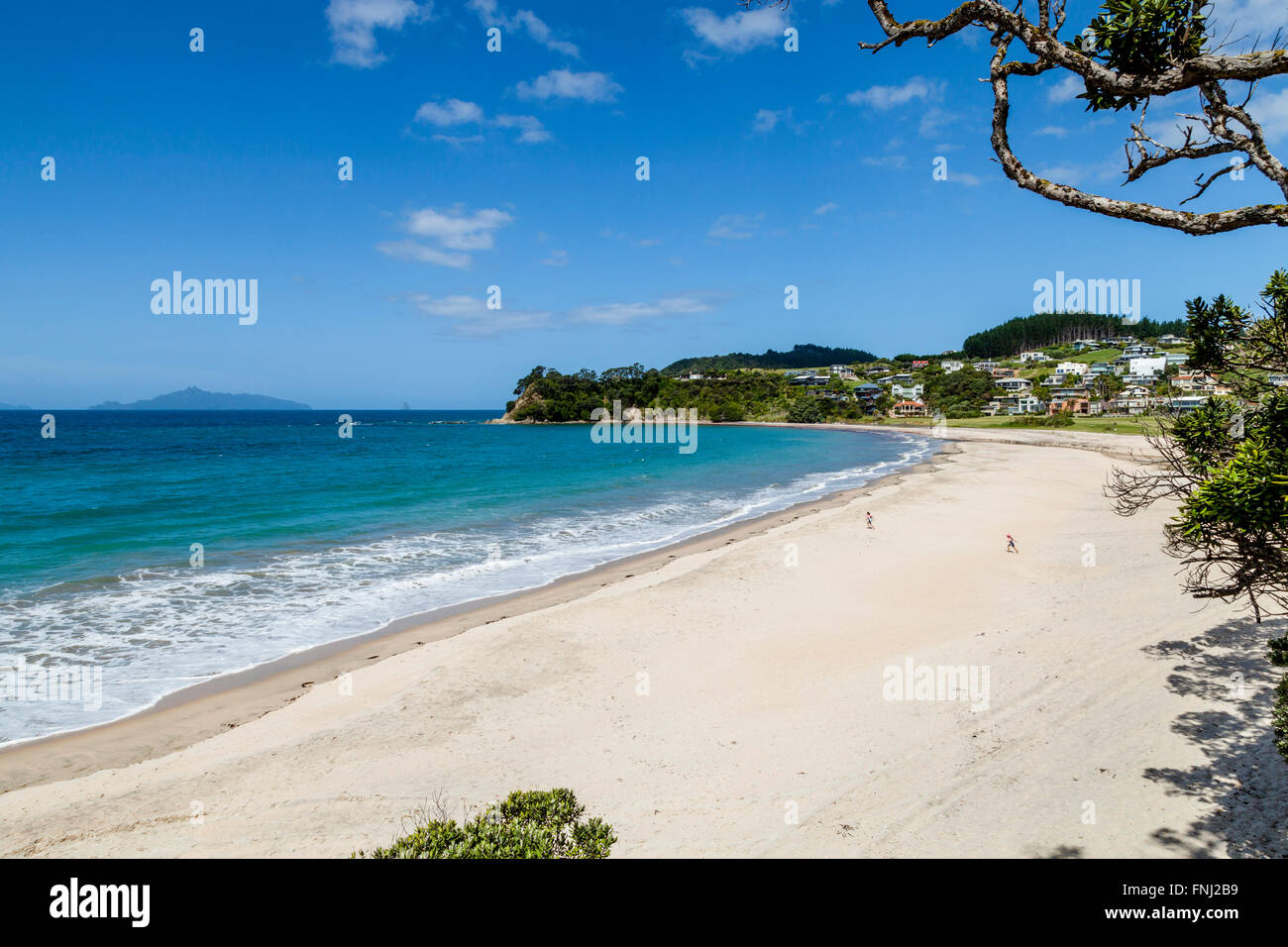 Langs Beach, Waipu Area, Northland, North Island, New Zealand Stock Photo