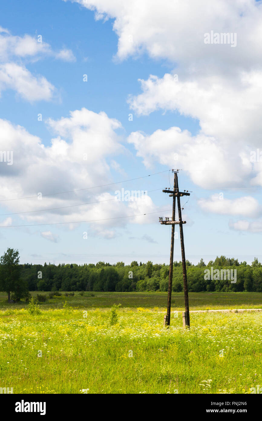 Old electric pole in a field in summer Stock Photo - Alamy