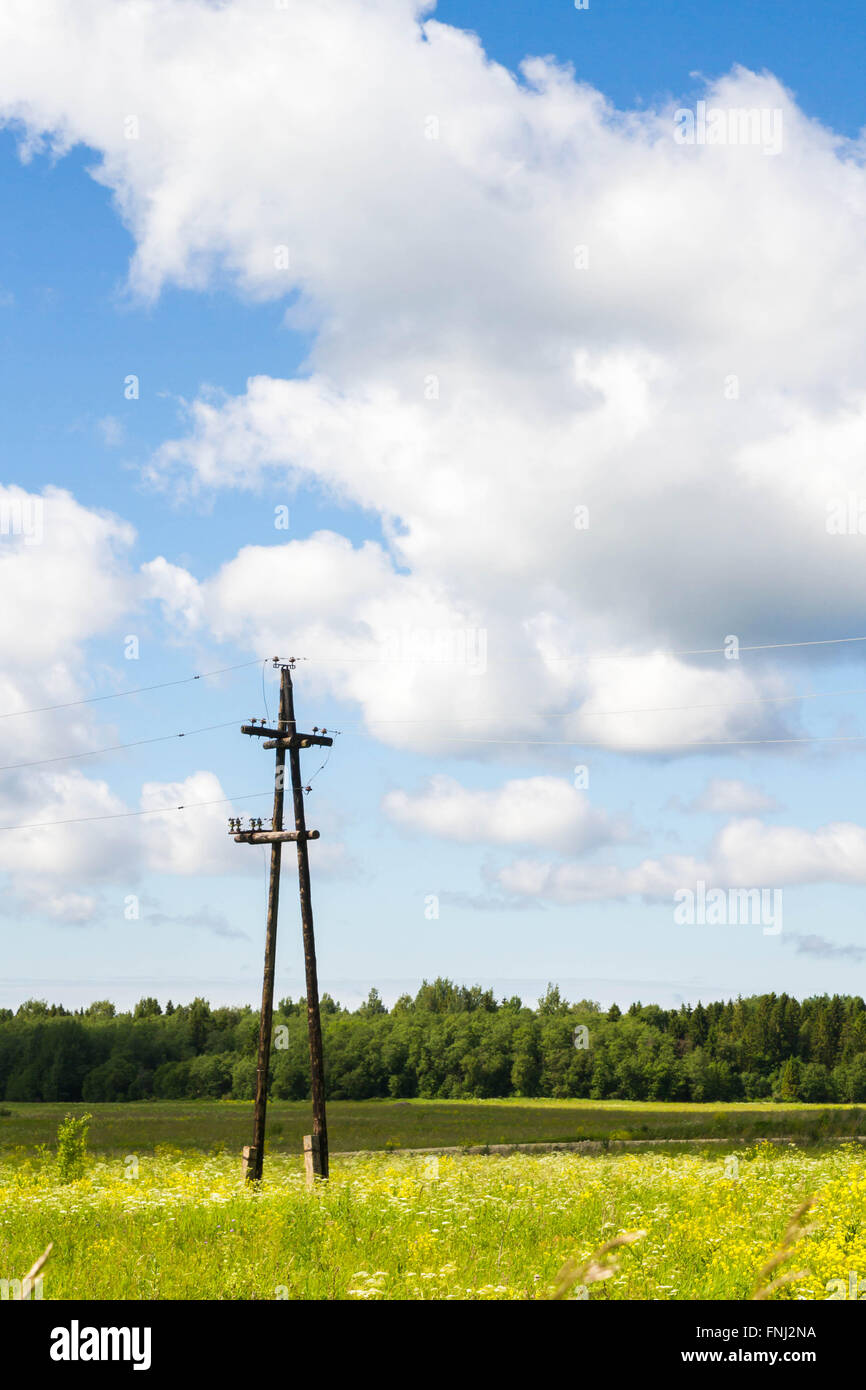 Old electric pole in a field in summer Stock Photo - Alamy