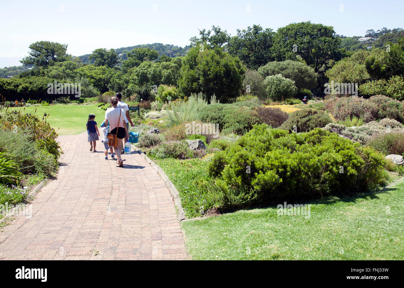 Kirstenbosch National Botanical Garden in Cape Town - South Africa Stock Photo
