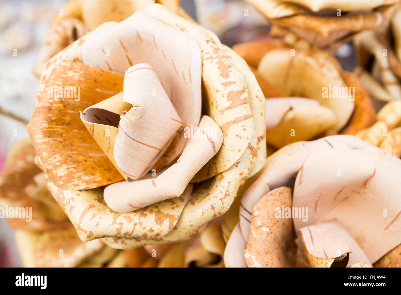 Flowers wooden roses made of birch bark Stock Photo Alamy