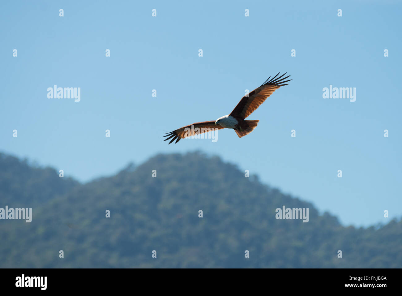 Langakawi hi-res stock photography and images - Alamy Langakawi hi-res stock photography and images - Alamy