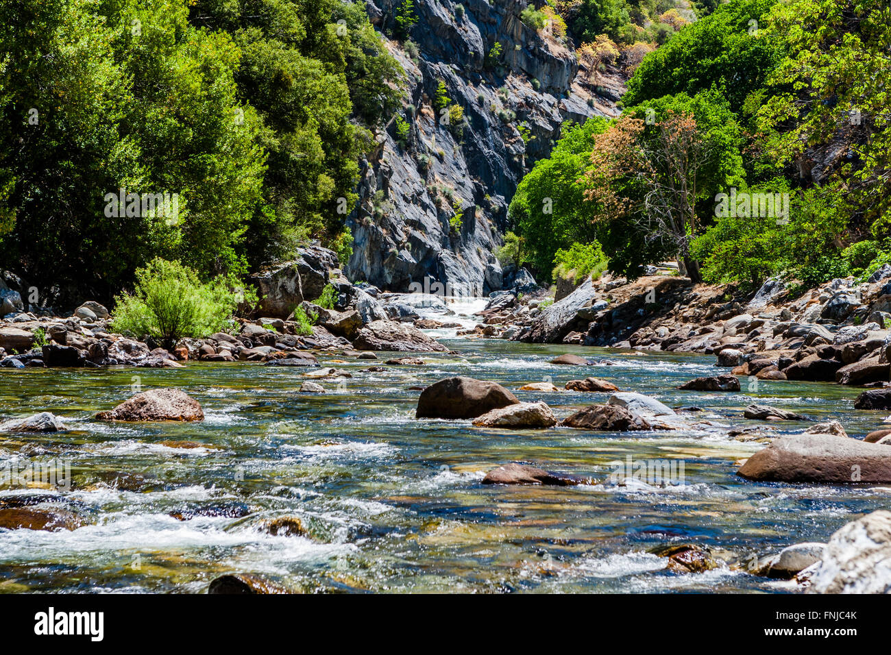 Redwood Creek at Kings Canyon Scenic Byway, Highway 180, Kings Canyon National Park, Southern Sierra Nevada, California, USA. Stock Photo