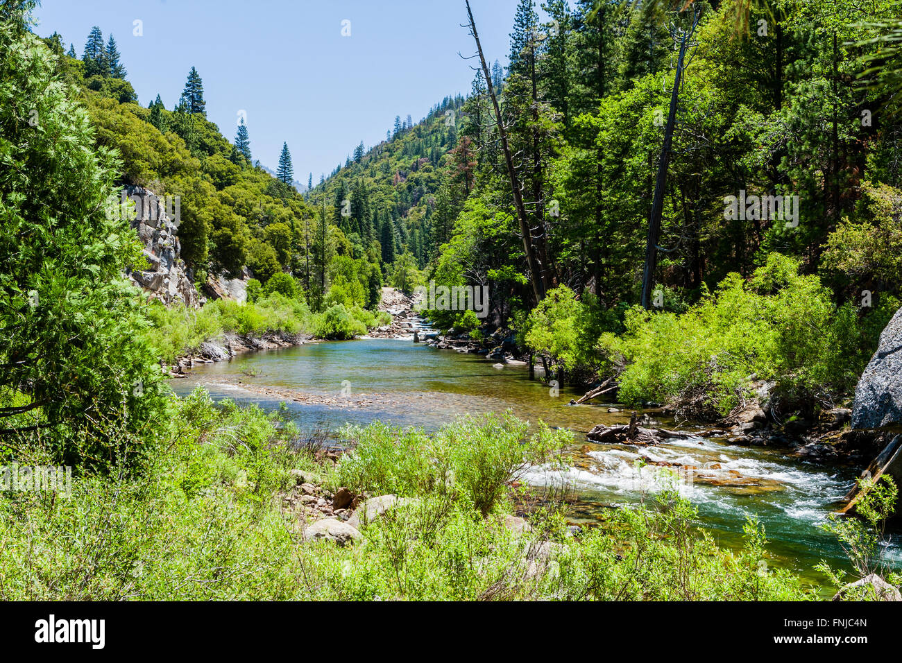 Redwood Creek at Kings Canyon Scenic Byway, Highway 180, Kings Canyon National Park, Southern Sierra Nevada, California, USA. Stock Photo