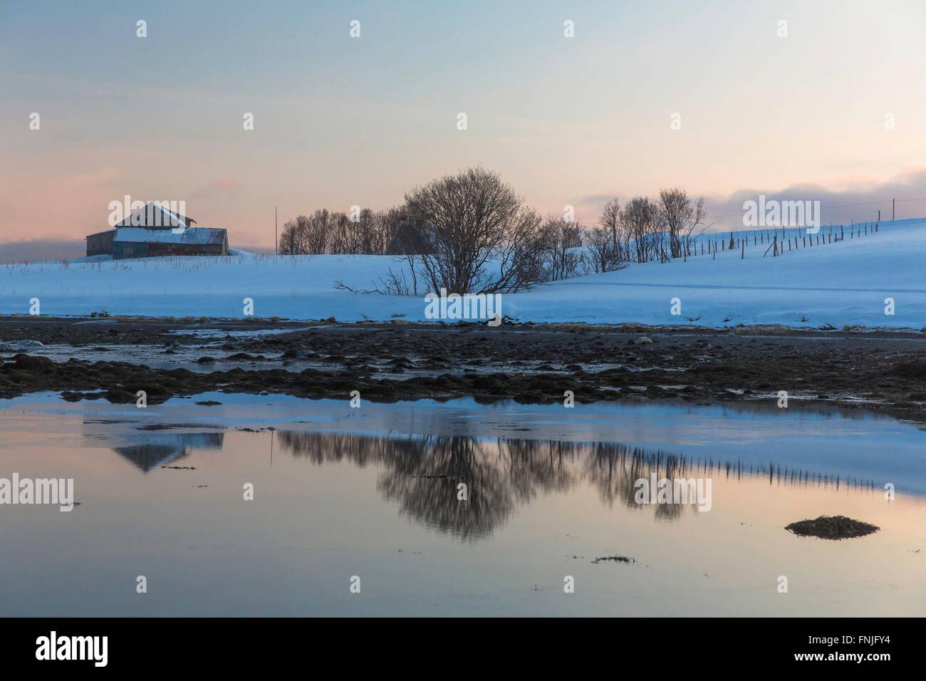 Winter Reflection, February 2016 Stock Photo