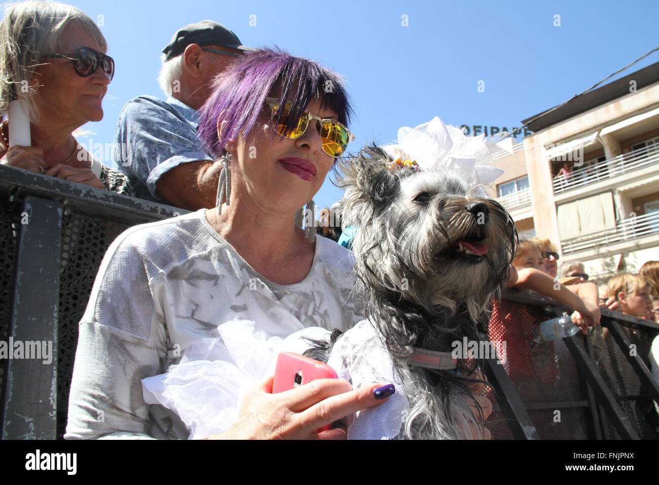 Tenerife, Spain. 13th Mar, 2016. An animal lover joins in the International Carnival of Los Cristianos with pet costume contest . Twelve candidates have passed on the main stage of the holidays. Sebastian Yorkshire accompanied by Norely with the Surprise fantasy won the first prize. The second award went to the Chihuahua Goliath and his Unicorn Carnavalero who marched with Carla and Laura. And third, for Willy and Mila brothers, two shih tzu who came from the Star Wars accompanied by Rosario and Raul. © Mercedes Menendez/RoverImages/Pacific Press/Alamy Live News Stock Photo