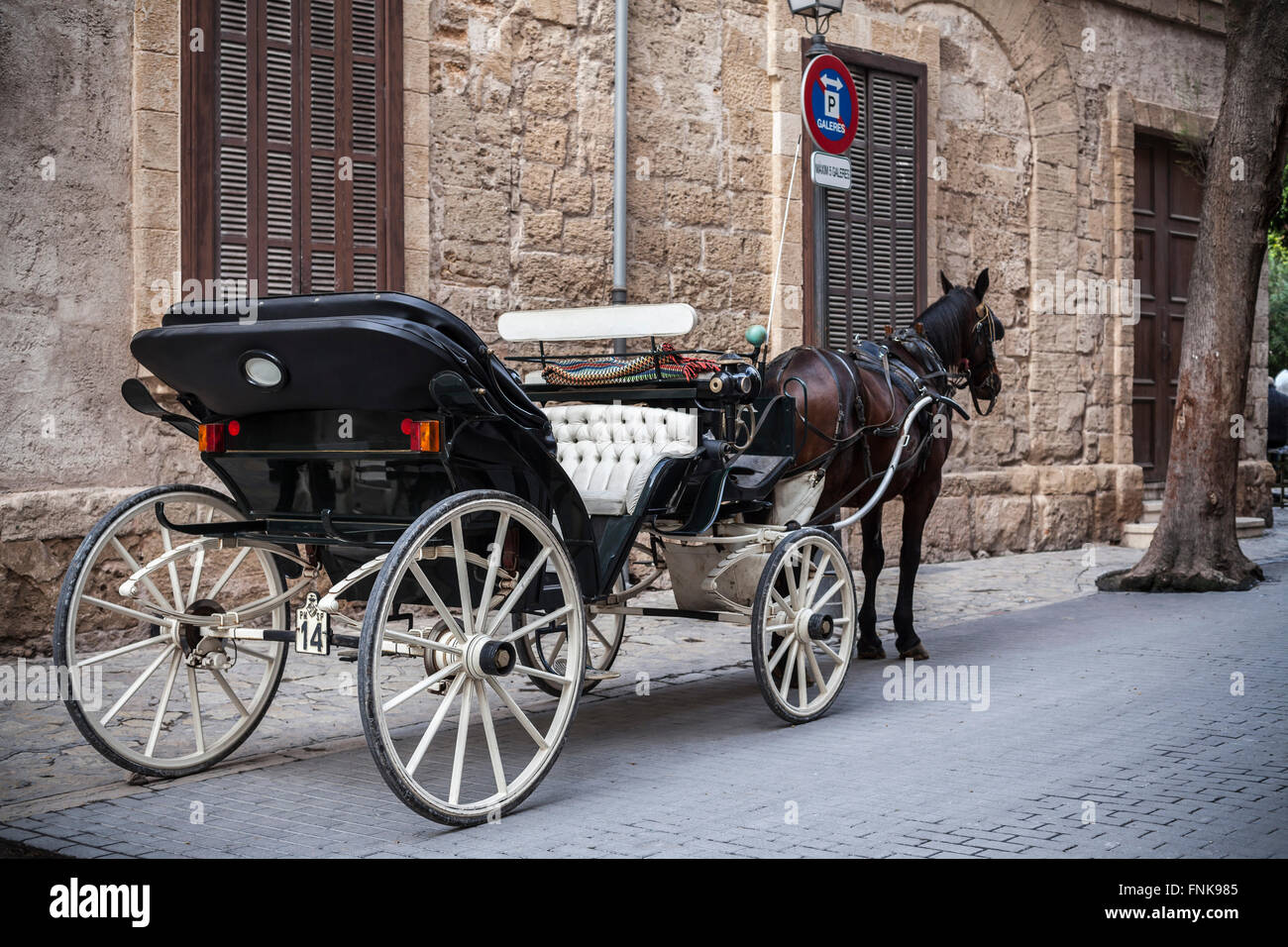 Carriage horse in Palma de Mallorca, Balearic Islands, Spain. Stock Photo