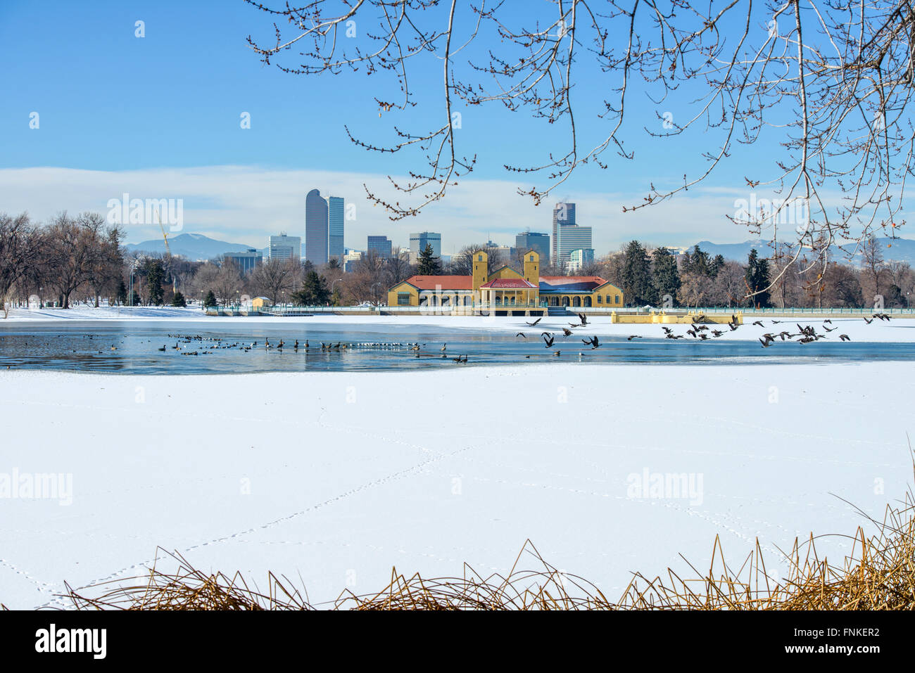 Winter Lake At Downtown Denver - A winter view of frozen lake in a city park at east-side of Downtown Denver, Colorado, USA. Stock Photo