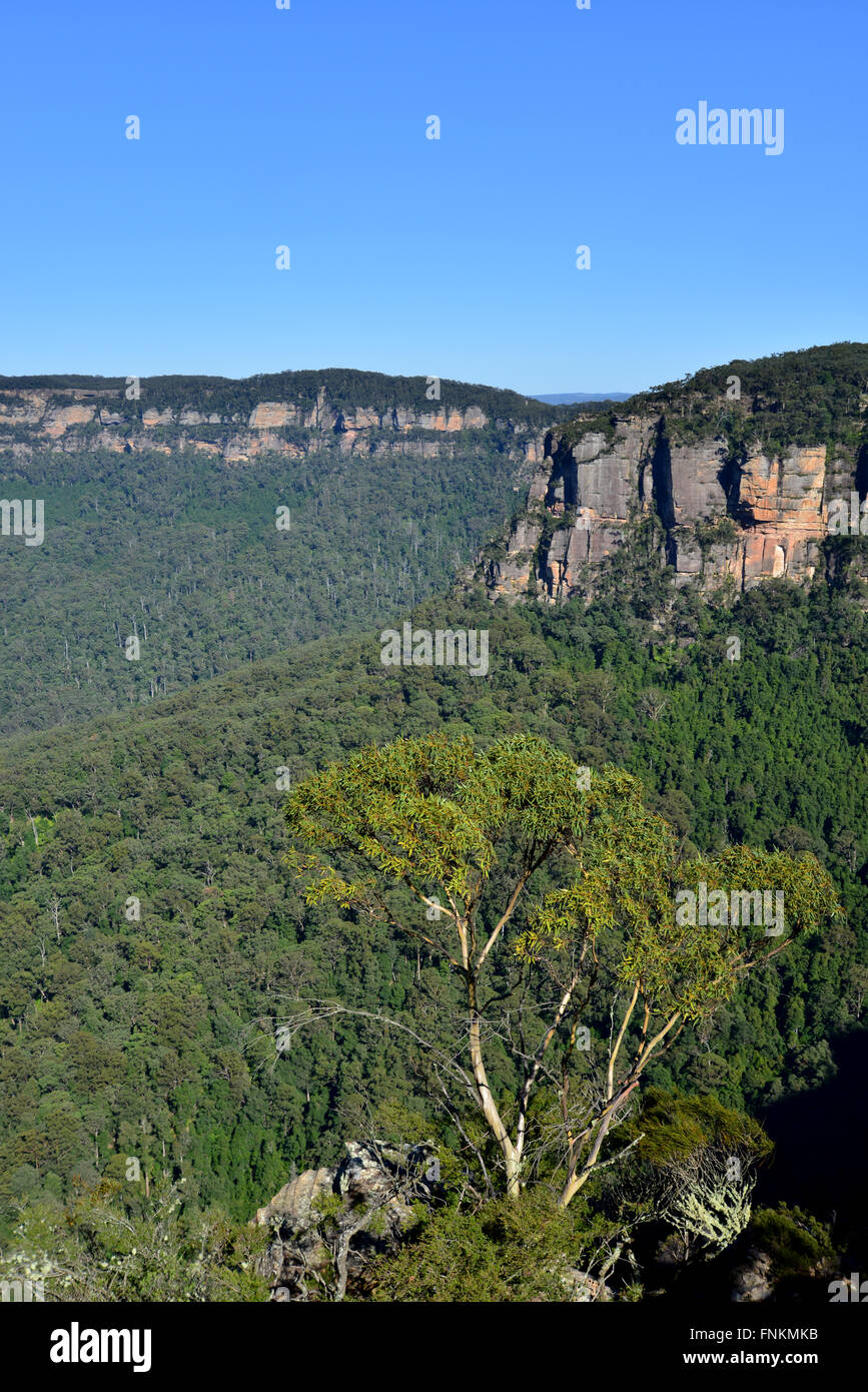 View blue mountains australia hi-res stock photography and images - Alamy