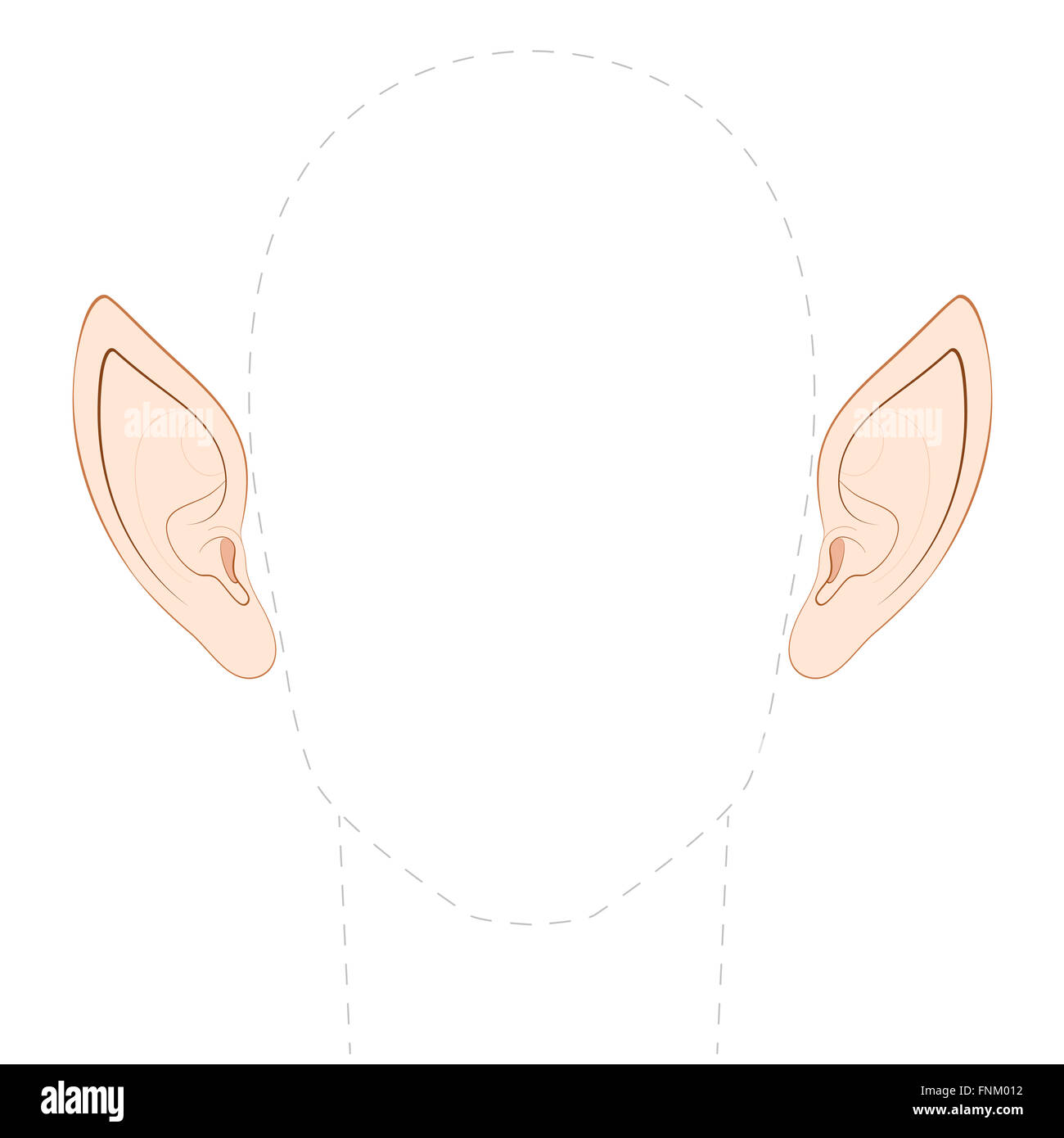 Pointed ears of an elf, fairy, vampire or other fantasy creature, with empty space between them to insert any photo. Stock Photo