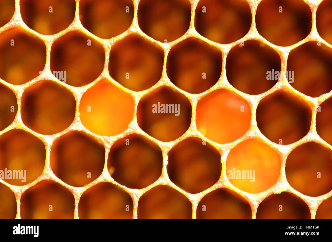 Honeycomb Stock Photo