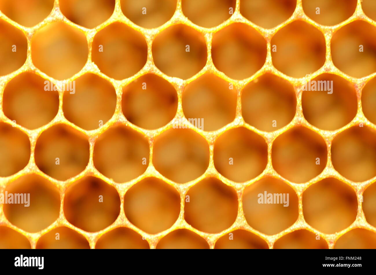 net hires stock photography and images Alamy