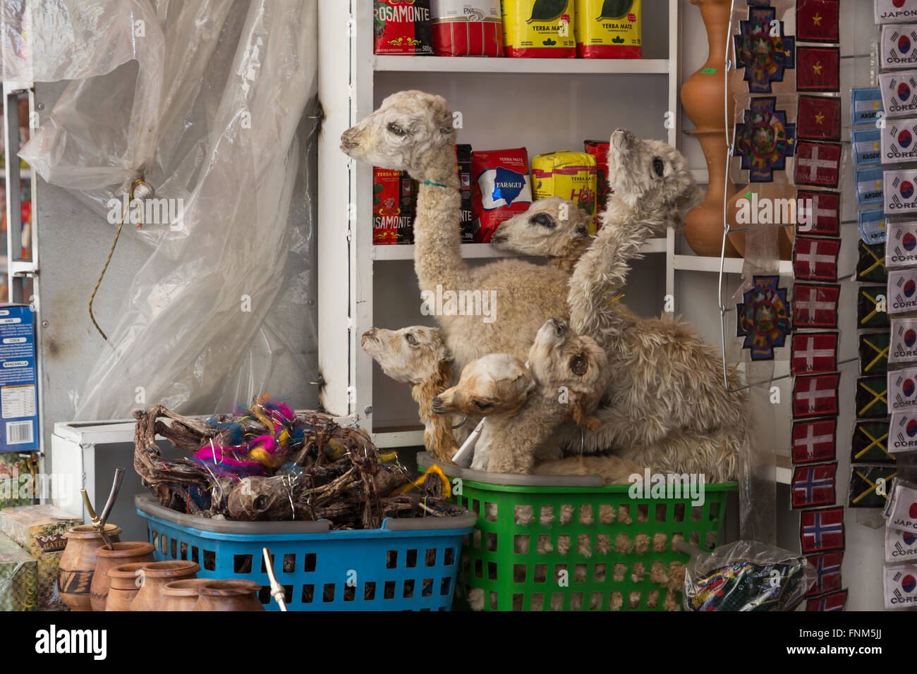 La Paz, Bolivia - October 24, 2015: Dried baby llama foetuses at the Witches Market. Stock Photo