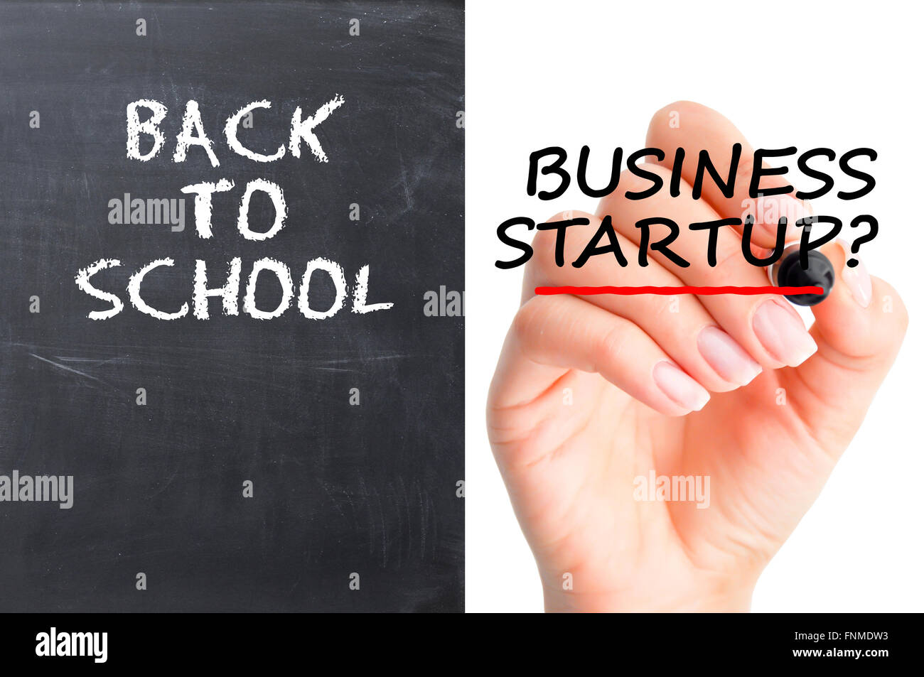 School or business startup dilemma Stock Photo