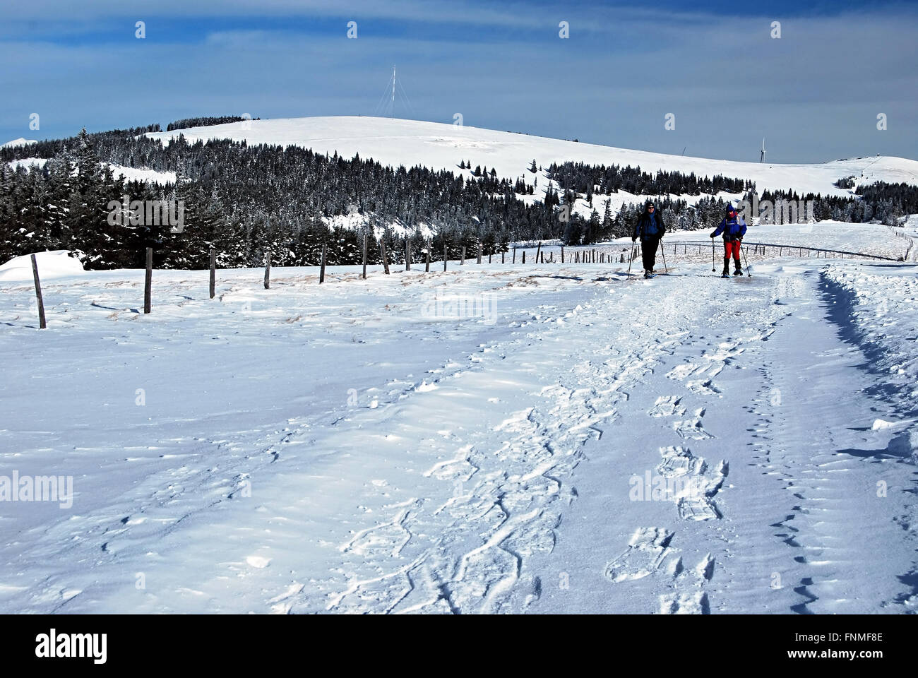 snowshoeing in winter Fischbacher Alpen in Styria Stock Photo