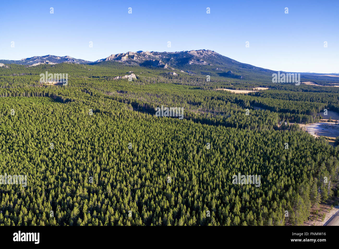 Aerial view of the Bighorn Mountains with a dense evergreen forest near Buffalo, Wyoming Stock Photo
