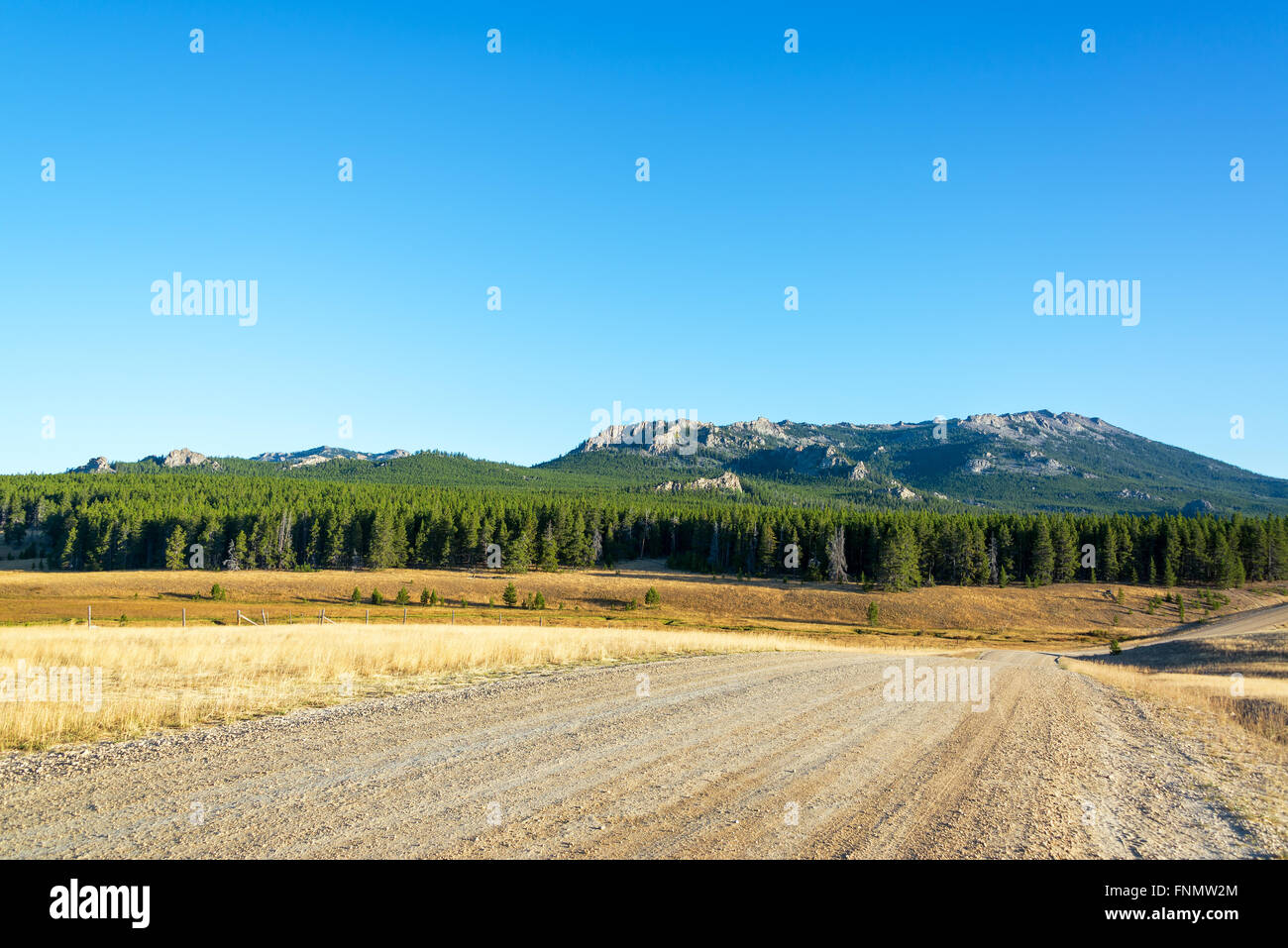 Dirt road with Bighorn Mountain Range and forest near Buffalo, Wyoming Stock Photo